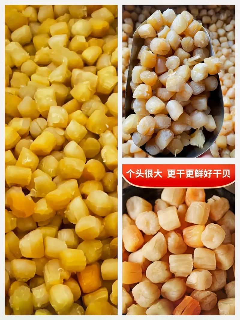 食用农产品大陆高品质中号瑶柱 约500头左右斤精