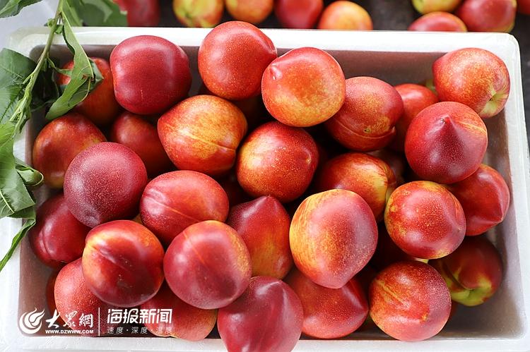 日照市试行食用农产品合格证制度推进现场会在莒县召开